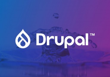 Logo Drupal 2020