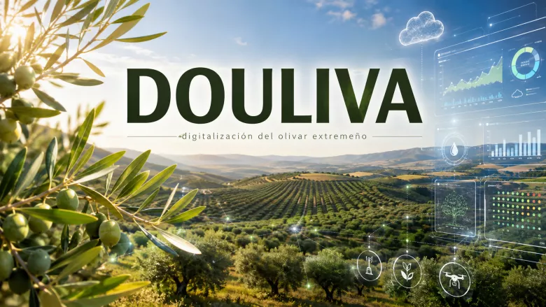 DOULIVA: digitalización del olivar extremeño
