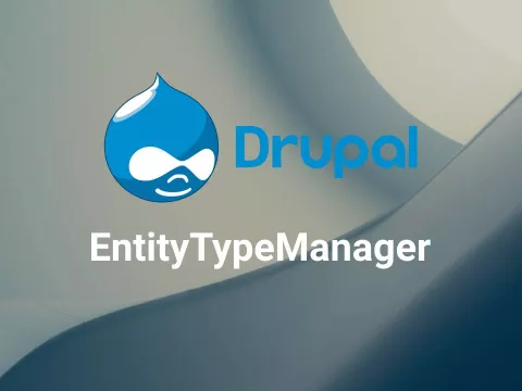 Entity Type Manager