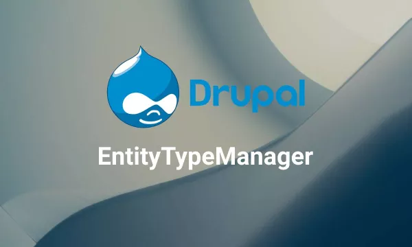 Entity Type Manager