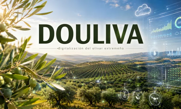 DOULIVA: digitalización del olivar extremeño