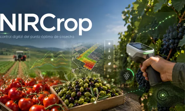 NIRCrop: control digital del punto óptimo de cosecha