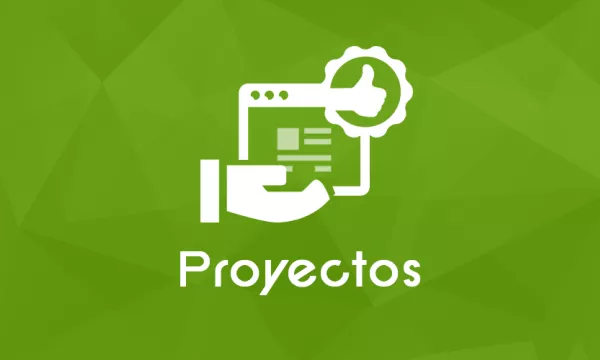 proyectos.jpg
