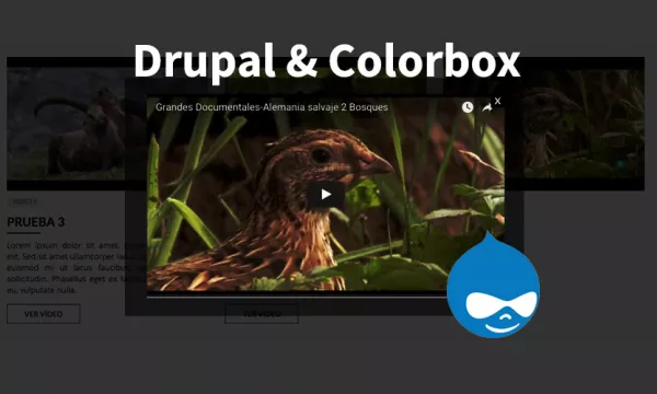 drupal-views-colorbox-video.jpg