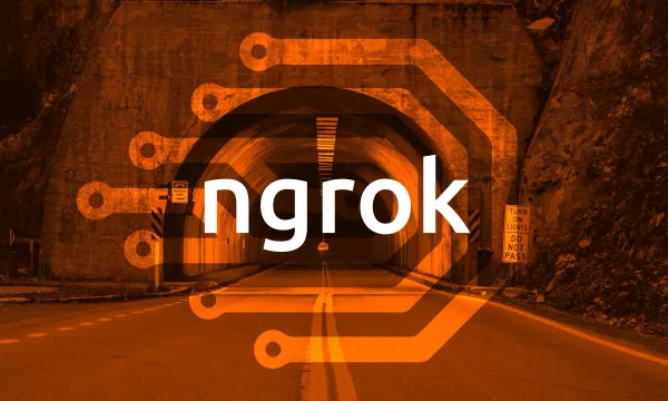 ngrok.jpg