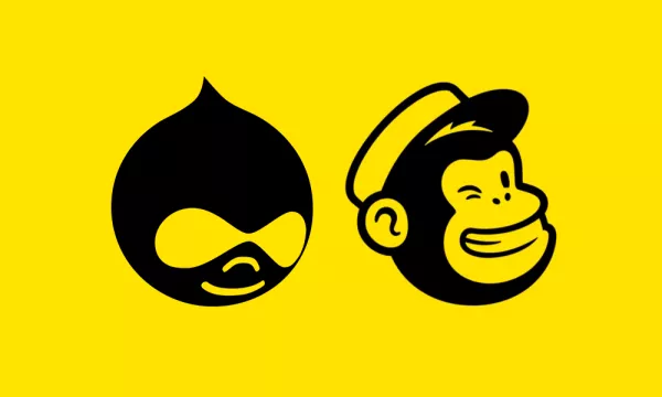 webform-mailchimp.png