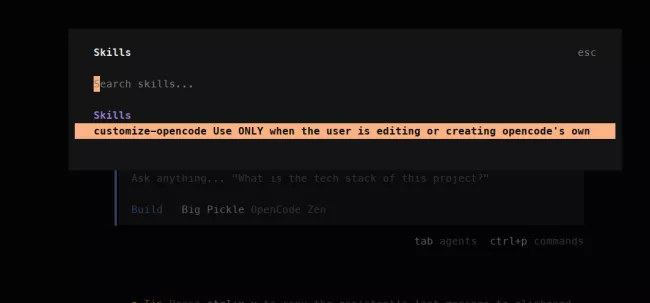 opencode_skills